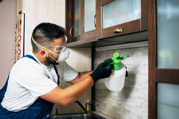 Best Affordable Pest Control Services  in Morro Bay, CA