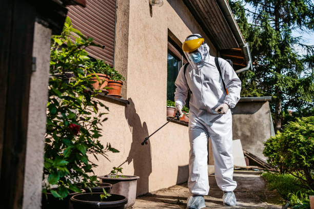Best Pest Inspection Near Me  in Morro Bay, CA