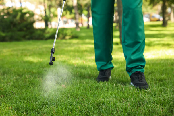 Best Pest Inspection Near Me  in Morro Bay, CA