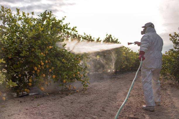 Best Commercial Pest Control Services  in Morro Bay, CA