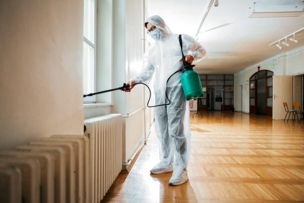 Trusted Morro Bay, CA Pest Control Experts
