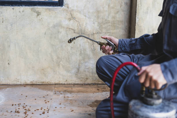 Best Pest Removal Services  in Morro Bay, CA